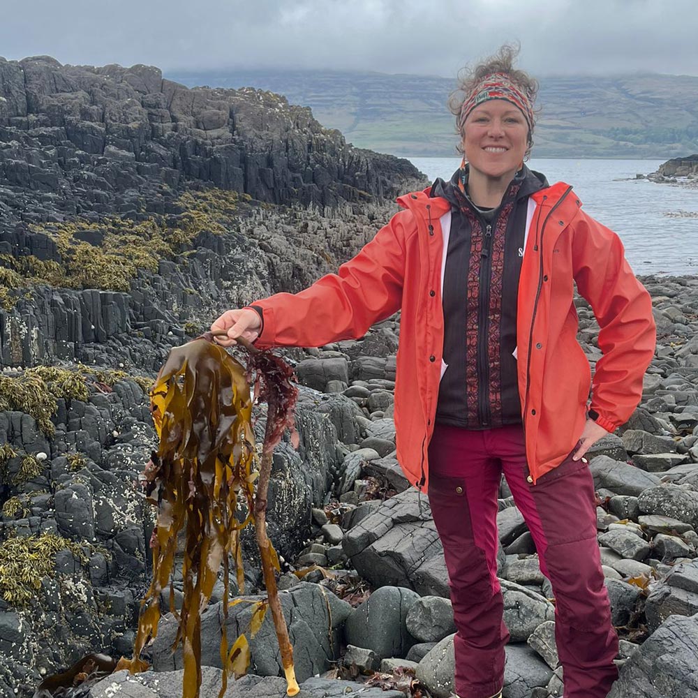 Alaska Sea Grant: Melissa Good with Laminaria hyperborea at Isle of ...